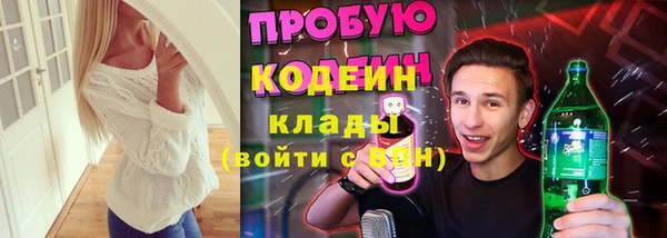МДПВ Вяземский