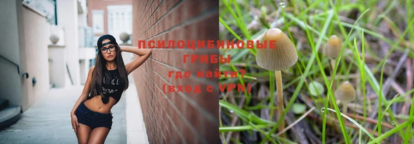 молекула духа Вязьма