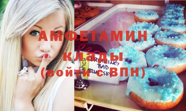 МДПВ Вяземский