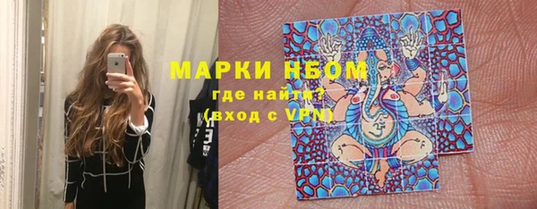 молекула духа Вязьма